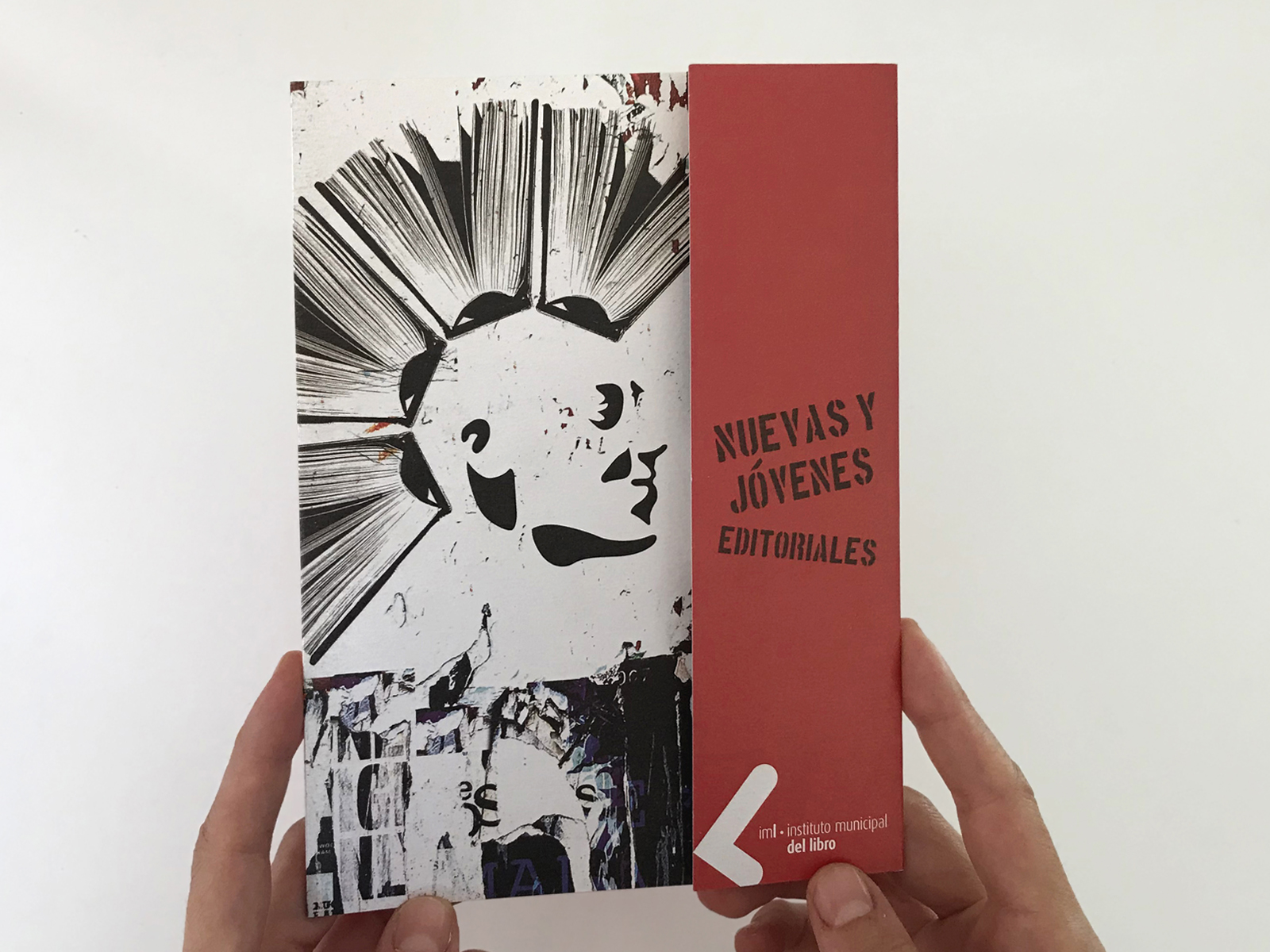 Proyecto 29